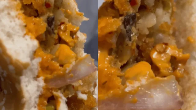 mumbai-girl-finds-dead-insect-inside-online-ordered-burger-viral-video-grosses-internet-out